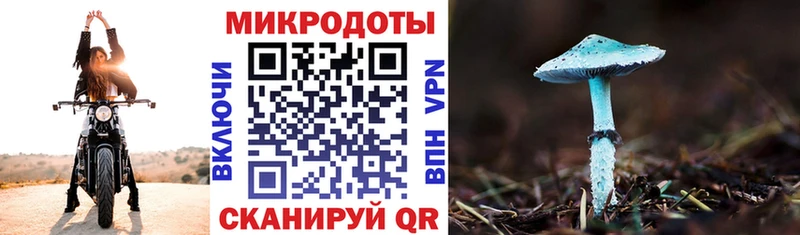 Псилоцибиновые грибы GOLDEN TEACHER  Шарья 